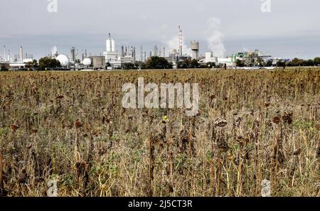 Ludwigshafen, DEU, 02.10.2020 - Blick auf das BASF-Werk in Ludwigshafen. Die BASF SE mit Sitz in Ludwigshafen am Rhein ist das vertriebsmäßig größte Chemieunternehmen der Welt. [Automatisierte Übersetzung] Stockfoto