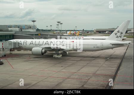 Aug 05, 2020, Singapur, Republik Singapur, Asien - vorübergehend geerdete Boeing 777-300-Passagierflugzeuge der staatlichen Singapore Airlines (SIA) mit spezieller ''Star Alliance''-Lackierung, die am Terminal 1 am Changi Airport abgestellt wurde. Aufgrund der weltweiten Ausbreitung des Coronavirus (Covid-19) wurde der weltweite Flugverkehr drastisch reduziert und es kommt weiterhin zu erheblichen Flugausfällen. SIA betreibt derzeit nur einen Bruchteil seines Streckennetzes, während die meisten Flugzeuge weiterhin am Boden arbeiten. [Automatisierte Übersetzung]' Stockfoto