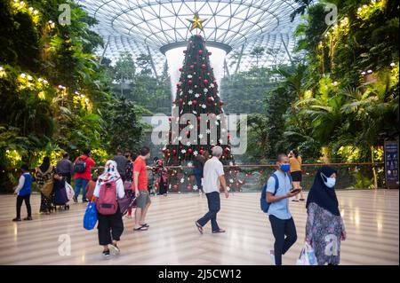 08. Dezember 2020, Singapur, Republik Singapur, Asien - Besucher und Flugreisende gehen im neuen Jewel Terminal am Changi International Airport inmitten der globalen Coronavirus-Pandemie (Covid-19) an einem geschmückten Weihnachtsbaum vorbei, während der Indoor-Wasserfall (Regenwirbel) im Hintergrund zu sehen ist. [Automatisierte Übersetzung] Stockfoto