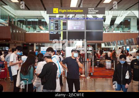 08. Dezember 2020, Singapur, Republik Singapur, Asien - Angesichts der globalen Coronavirus-Pandemie warten Passagiere am Changi International Airport vor dem Check-in-Bereich im Terminal 1, um für ihren Flug nach Guangzhou mit der chinesischen Fluggesellschaft China Southern einzuchecken. [Automatisierte Übersetzung] Stockfoto