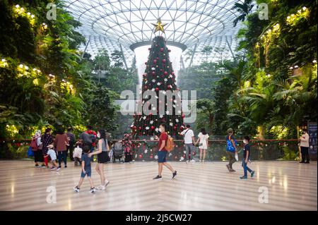 08. Dezember 2020, Singapur, Republik Singapur, Asien - Besucher und Flugreisende gehen im neuen Jewel Terminal am Changi International Airport inmitten der globalen Coronavirus-Pandemie (Covid-19) an einem geschmückten Weihnachtsbaum vorbei, während der Indoor-Wasserfall (Regenwirbel) im Hintergrund zu sehen ist. [Automatisierte Übersetzung] Stockfoto