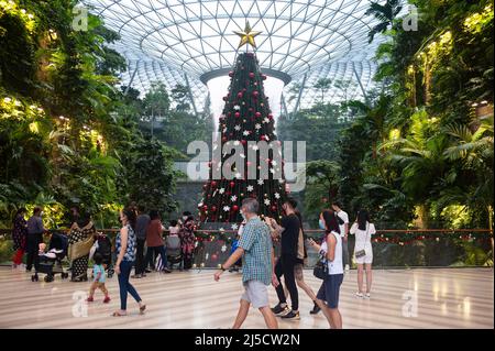 08. Dezember 2020, Singapur, Republik Singapur, Asien - Besucher und Flugreisende gehen im neuen Jewel Terminal am Changi International Airport inmitten der globalen Coronavirus-Pandemie (Covid-19) an einem geschmückten Weihnachtsbaum vorbei, während der Indoor-Wasserfall (Regenwirbel) im Hintergrund zu sehen ist. [Automatisierte Übersetzung] Stockfoto