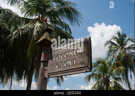 10. Aug. 2021, Singapur, Republik Singapur, Asien - Ein Holzschild mit der Aufschrift Coconut Grove markiert den Beginn des Changi Coast Track im Changi Beach Park mit Palmen im Hintergrund. [Automatisierte Übersetzung] Stockfoto