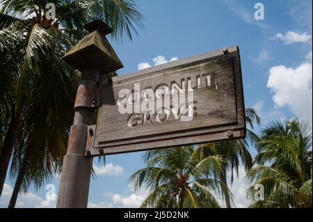 10. Aug. 2021, Singapur, Republik Singapur, Asien - Ein Holzschild mit der Aufschrift Coconut Grove markiert den Beginn des Changi Coast Track im Changi Beach Park mit Palmen im Hintergrund. [Automatisierte Übersetzung] Stockfoto