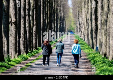 Leer, Deutschland. 22. April 2022. Drei Frauen laufen bei sonnigem Wetter durch eine Allee auf der Burg Evenburg im Stadtteil Loga. Quelle: Hauke-Christian Dittrich/dpa/Alamy Live News Stockfoto