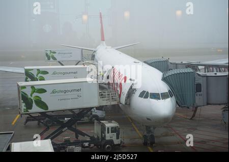 14. Dezember 2021, Zürich, Schweiz, Europa - ein Airbus A330-300 Passagierflugzeug von Swiss International Air Lines parkt an einem nebligen Morgen auf einem Stand am Dock E Terminal am Flughafen Zürich, während es vom Caterer Gategourmet verladen wird. Swiss ist Mitglied der Luftfahrtallianz Star Alliance, einem internationalen Netzwerk von Fluggesellschaften. [Automatisierte Übersetzung] Stockfoto