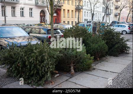 11. Jan. 2022, Berlin, Deutschland, Europa - abgenutzte und abgenutzte Weihnachtsbäume ohne Weihnachtsbaumschmuck liegen am Straßenrand in einem Wohngebiet im Bezirk Mitte, bereit, vom Berliner Stadtreinigungsdienst (BSR) abgeholt zu werden. [Automatisierte Übersetzung] Stockfoto