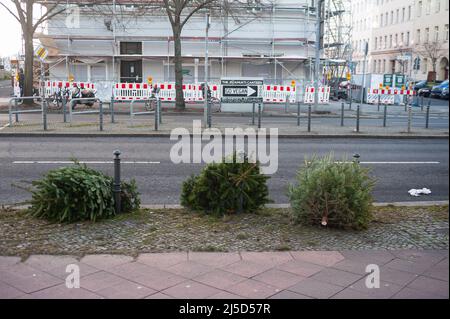 06. Jan. 2022, Berlin, Deutschland, Europa - abgenutzte und abgenutzte Weihnachtsbäume ohne Weihnachtsbaumschmuck liegen am Straßenrand in einem Wohngebiet im Bezirk Mitte, das von der Berliner Stadtreinigung (BSR) abgeholt werden soll. [Automatisierte Übersetzung] Stockfoto