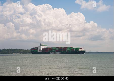 10. August 2021, Singapur, Republik Singapur, Asien - das Containerschiff Ever Blink, das der taiwanesischen Evergreen Marine Corporation gehört, fährt an der Küste am Changi Beach Park vorbei. [Automatisierte Übersetzung] Stockfoto