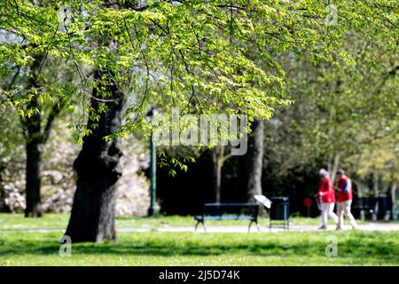 Leer, Deutschland. 22. April 2022. Bei sonnigem Wetter sind Wanderer im Park auf Schloss Evenburg im Stadtteil Loga. Quelle: Hauke-Christian Dittrich/dpa/Alamy Live News Stockfoto