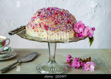 Kuchenkuchen - gefüllt mit fruchtigem Gelee, dunkler Schokoladenmousse und Himbeerpüree, überzogen mit weißer Schokoladenganache und verziert mit farbenfrohem Spri Stockfoto