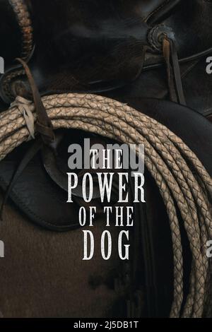 The Power of the Dog Jahr : 2021 Neuseeland / UK / Kanada / Australien Regie : Jane Campion Poster Stockfoto