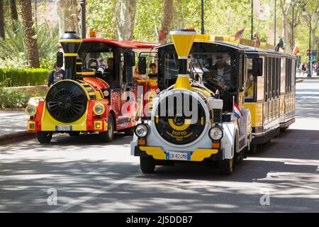 Tourist Sightseeing Zug / Züge laufen, vielleicht im Wettbewerb, in den Straßen und Straßen der historischen Innenstadt von Palermo, Sizilien. Italien. (129) Stockfoto