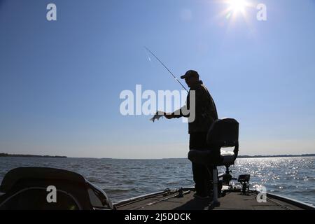 Wirf Es Zurück Stockfoto