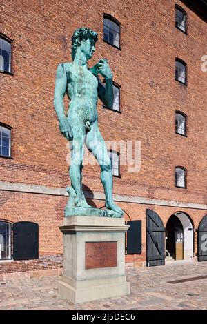 David von Michelangelo, Bronze gegossen von der Königlichen Sammlung werfen, Kopenhagen, Dänemark Stockfoto