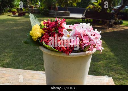 Mehrfarbige Blumen verschiedene Arten von Farben und Blumen in Wassereimer. Weiße Frangipani, Oleander, kaner, champa beim Floristen Stockfoto