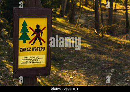 Wodden-Schild mit schriftlichem Eingang in den Wald verboten, in der Mitte des Waldes stehend. Schild in dunkelbrauner Farbe und hellgelb Stockfoto