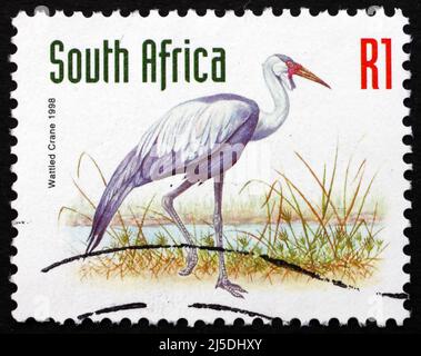 SÜDAFRIKA - UM 1998: Eine in Südafrika gedruckte Briefmarke zeigt Wattling Crane, Bugeranus Carunculatus, Bird, um 1998 Stockfoto