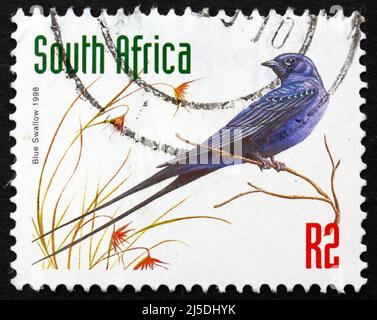 SÜDAFRIKA - UM 1998: Eine in Südafrika gedruckte Briefmarke zeigt Blue Swallow, Hirundo Atrocaerulea, Bird, um 1998 Stockfoto