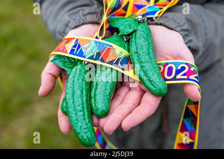 Straupitz, Deutschland. 22. April 2022. Plastikgurken sind auf zwei Händen. Diese Gurken werden allen Teilnehmern des Spreewald-Marathons gegeben, die ein Rennen beenden. „Auf den Gurken, fertig, los!“ Das ist das Motto des Spreewald-Marathons nach einer zweijährigen Pause und in diesem Jahr zum 20.. Mal. Quelle: Frank Hammerschmidt/dpa/Alamy Live News Stockfoto