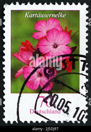 DEUTSCHLAND - UM 2006: Eine in Deutschland gedruckte Briefmarke zeigt Clusterhead Pink, Dianthus Carthusianorum, Flowering Plant, um 2006 Stockfoto
