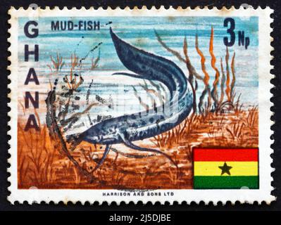 GHANA - UM 1967: Eine in Ghana gedruckte Marke zeigt westafrikanische Lungfish, Protopterus annectens, Freshwater Fish, um 1967 Stockfoto