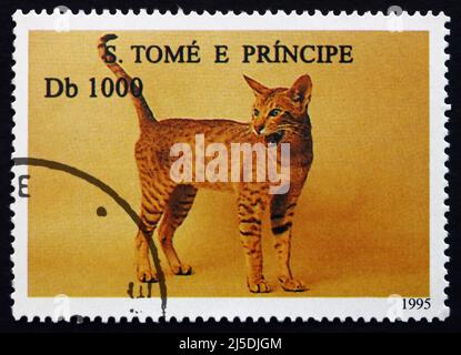 SAO TOME UND PRINIPE - UM 1995: Eine in Sao Tome und Principe gedruckte Marke zeigt Hauskatze, Haustier, um 1995 Stockfoto