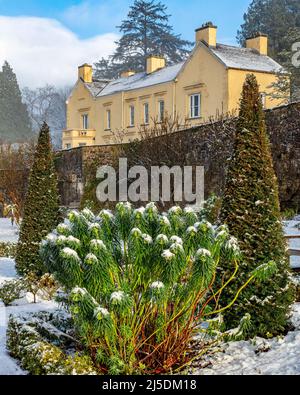 Aberglasney Mansion aus dem Upper Walled Garden im Winter Stockfoto