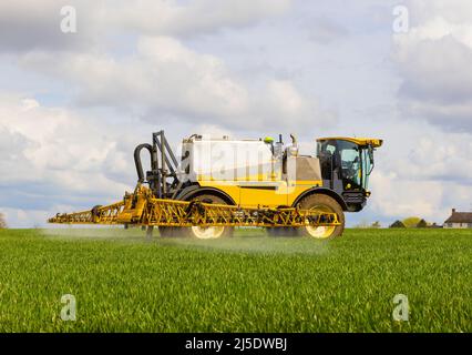 Landwirt, der Anfang des Frühlings eine selbstfahrende Feldspritze auf einem Feld verwendet. Hertfordshire, Großbritannien Stockfoto