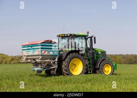 Landwirt, der im Frühjahr 2022 Traktor fährt und Dünger auf einem Feld besprüht. Hertfordshire, Großbritannien Stockfoto