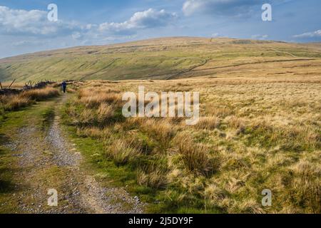 17.04.2022 Newby Head Gate, Ribblehead, North Yorkshire, Großbritannien. Weibliche Bergerlaufbahn auf der Pennine-Brücke in der Nähe des Great Knoutberry Hill oberhalb von Dent Stat Stockfoto