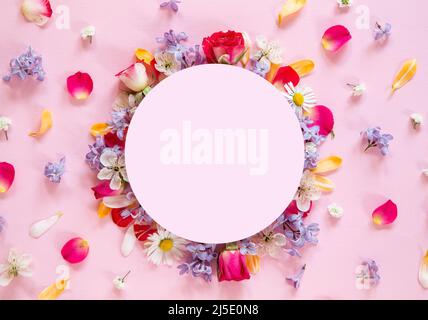 Frühlingsblumen-Komposition mit einer blanck-Note Stockfoto