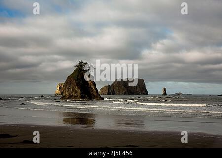 WA21413-00...WASHINGTON - das Meer liegt direkt vor der Küste entlang der Wildnisküste im Olympic National Park. Stockfoto