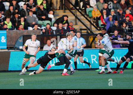 Newcastle, Großbritannien. 12. März 2022. NEWCASTLE UPON TYNE, GROSSBRITANNIEN. APR 22. Mateo Carreras von Newcastle Falcons tagt Ollie Hassell-Collins von London Irish während des Spiels der Gallagher Premiership zwischen Newcastle Falcons und London Irish am Freitag, den 22.. April 2022 im Kingston Park, Newcastle. (Kredit: Chris Lishman | MI News) Kredit: MI Nachrichten & Sport /Alamy Live News Stockfoto