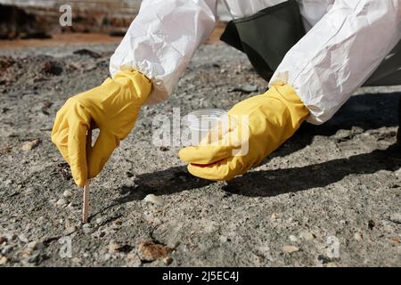 Nahaufnahme eines nicht erkennbaren Bodenwissenschaftlers in gelben Handschuhen mit Holzstäbchen, während verschmutzte Proben für die Forschung entnommen werden Stockfoto