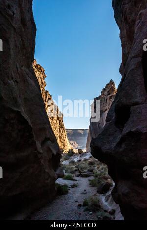 Ein Blick zurück durch den Banshee Canyon vom Rings Loop Wanderweg im Mojave Nationalpark an einem ruhigen Abend mit sanftem Licht. Stockfoto