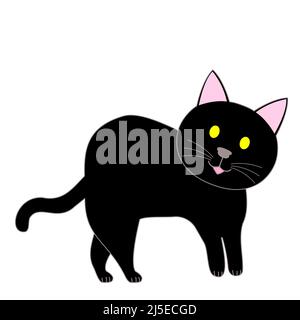 Eine stehende schwarze Katze mit weißem Hintergrund Stockfoto