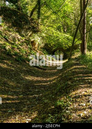 Kleine, einbögige Stein- und Ziegelbrücke über alte Gleiswege im Waldschnitt, Tichnall Limeyards, Derbyshire, England, UK. Stockfoto