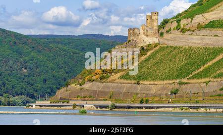 Rüdesheim, Hessen, Deutschland - 19. August 2020: Blick auf Schloss Ehrenfels und die umliegenden Weinberge Stockfoto