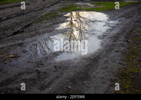 Pfütze auf einer unbefestigten Straße mit grünem Gras Stockfoto