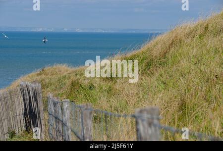 frankreich-die Côte d'Opale (Opalküste) ist der französische Küstenstreifen des Ärmelkanals von Dunkerque im Norden bis zur Mündung der Somme im Süden Stockfoto