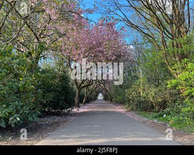 Pfad im Heaton Park an einem sonnigen Tag Stockfoto