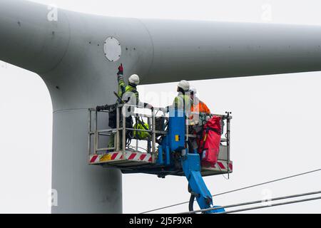 Bridgwater, Somerset, Großbritannien. 23.. April 2022. Arbeiter auf einer Luftplattform, die an einem der neuen National Grid T-Masten in Bridgwater in Somerset arbeitet, die als Teil des Hinkley Point C über die Somerset-Ebenen gebaut wurden.Bildquelle: Graham Hunt/Alamy Live News Stockfoto