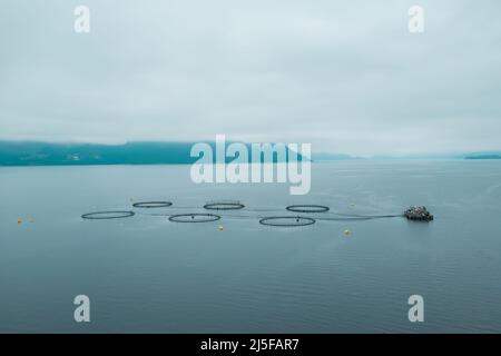 Bauernhof Lachs Angeln in Norwegen. Norwegen ist der größte Produzent von Zuchtlachs in der Welt, mit mehr als einer Million Tonnen pro Jahr produziert werden. Stockfoto