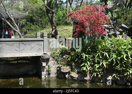 Erkunden Sie den berühmten klassischen chinesischen Garten Guyi in Nanxiang, Shanghai Stockfoto