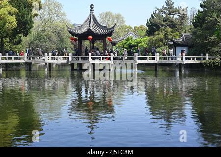 Erkunden Sie den berühmten klassischen chinesischen Garten Guyi in Nanxiang, Shanghai Stockfoto