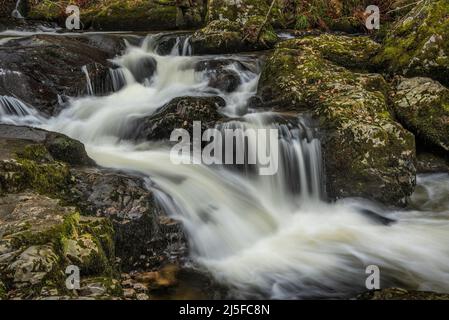 Epische Landschaftsaufnahme der Aira Force Upper Falls im Lake District während der farbenfrohen Herbstvorzeige Stockfoto