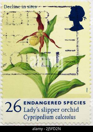 Foto einer britischen Briefmarke mit einer Illusration eines Lady's Slipper Orchid Cypripedium calceolus einer gefährdeten Art 1998 Stockfoto