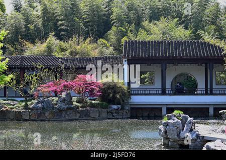 Erkunden Sie den berühmten klassischen chinesischen Garten Guyi in Nanxiang, Shanghai Stockfoto