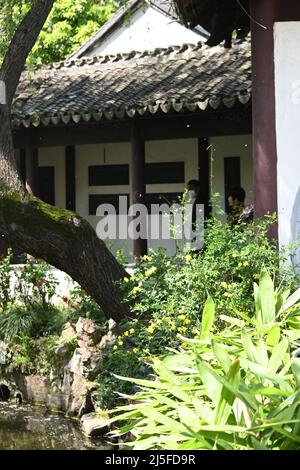 Erkunden Sie den berühmten klassischen chinesischen Garten Guyi in Nanxiang, Shanghai Stockfoto